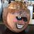 Josh Anderson's profile image