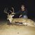 Kyle Sargent's profile image