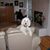 Julia Donnelly's profile image