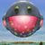 Lee Asadoorian's profile image