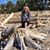 Brenda Morris-Lee's profile image