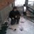 Arne Hagfors's profile image