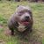 Jamir Jackson's profile image