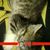 Tammy Lynn Wells's profile image