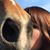 Renee Danielle Laverdure's profile image
