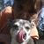 Teena Wellman's profile image