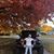 Cassi Deaver's profile image