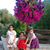 Aurelia Salas's profile image