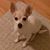 Linda Hermes King's profile image
