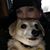 Amy Colvin Cheatham's profile image