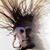 Brian K. Gram's profile image