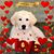 Amy Yurteri's profile image