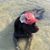 Larry Rowell's profile image