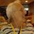 Pamela Sue's profile image