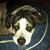 Jo Ellen Underwood Nall's profile image