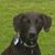 Midori Brown's profile image