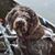 Michele-Joe Roth's profile image