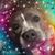 Missy Richmond Stewart's profile image