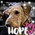 Kathy Yocum Lamb's profile image