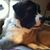 Kimberly Starkweather's profile image