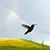 Mindy McCharen McCleery's profile image