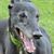 Simon Tait's profile image