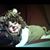 Nichole Wilson Unrue's profile image