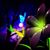 Conny Canola's profile image