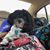 Terri Weisberg Smith's profile image