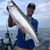 Ryan Suchanek's profile image