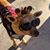 Julie Gomez's profile image