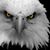Justin Hall's profile image