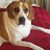 Kathy Vinson Dobbins's profile image
