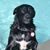 JoAnn Aldridge Decossas's profile image