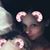 Christine Marie Jennings's profile image