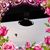 Sandra Hummer's profile image