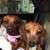 Mary Hatcher Conover's profile image