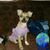 Benjamin Hermosillo's profile image