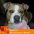 Kathy Scott's profile image