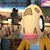 Jamie Haas's profile image