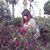 Valeria Jimenez's profile image