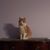 Jamie Rowlen's profile image