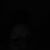 Viki Payton's profile image