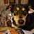 Teresa Roper's profile image