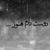 Milad Messi's profile image