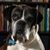 Stacy Spiehs Sullwold's profile image