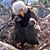 Paula Ryan-Apuzzo's profile image