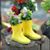 Sue Haley's profile image