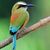 MarSe Bas's profile image