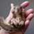 Mike Agostinis's profile image